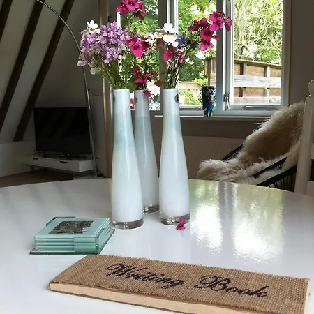 Bed & Breakfast 